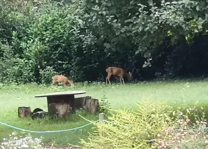 Apartamento Le Petit Plessis Ruaudin